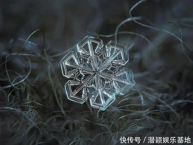 他用8个冬天拍下雪花的样子，每一朵都如此惊艳！