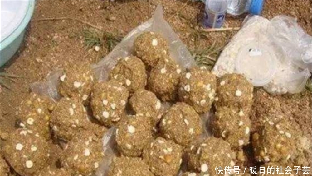 野钓|打窝聚鱼不能慢人一步,这样打窝发窝快速,上鱼快人一步!