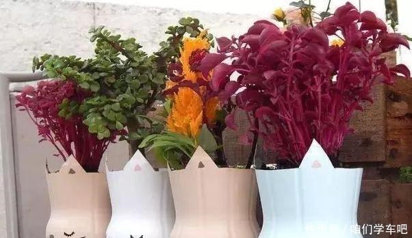 6种“垃圾”最适合做花盆,一分钱不花就能得到,比买来的还精致!