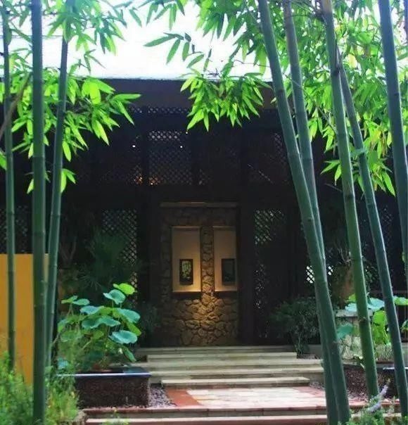 院子里别乱种树,海棠“富贵满堂”,桂花“出贵子”,旺运添福