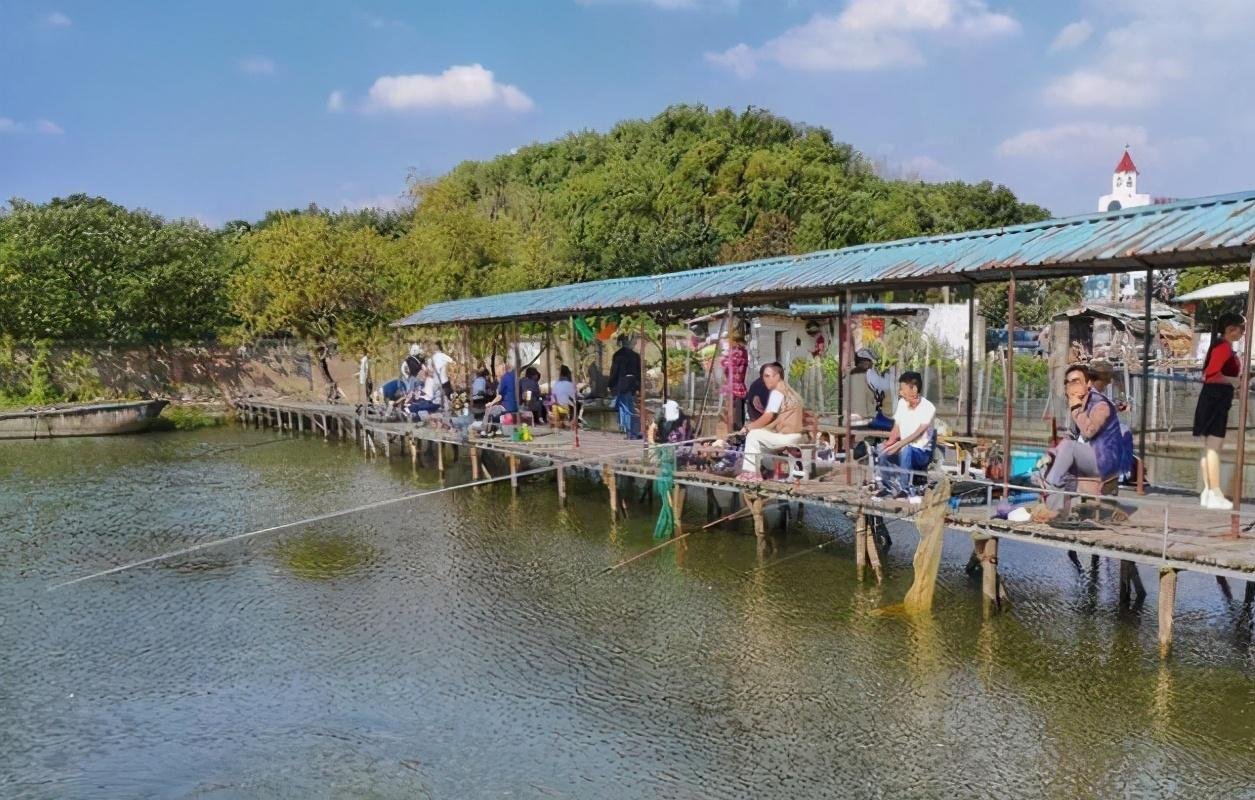 黑坑鱼突然停口,逃脱不了这几个原因,教你妙招轻松解决