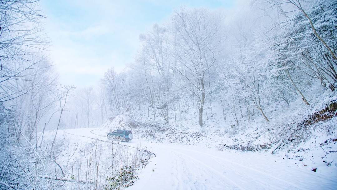 风景|俯仰皆风景 四川广元旺苍唯美雪景惹人爱