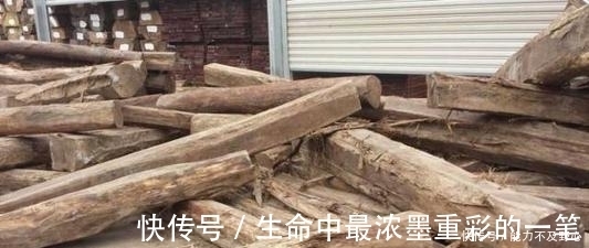 黄檀木|最贵的木材1公斤要上万元,不识货拿它当柴烧,快看看家中有没有