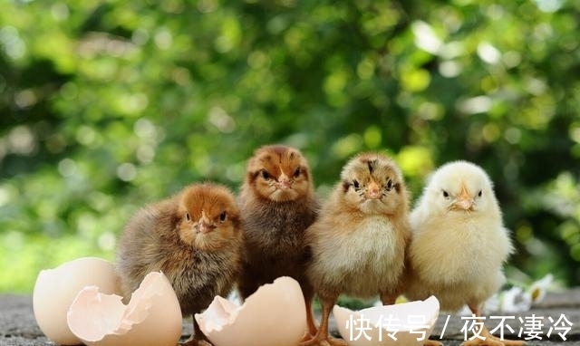 感悟#“元亨利贞”有什么现实意义?在生活中与人合伙有何现实意义?