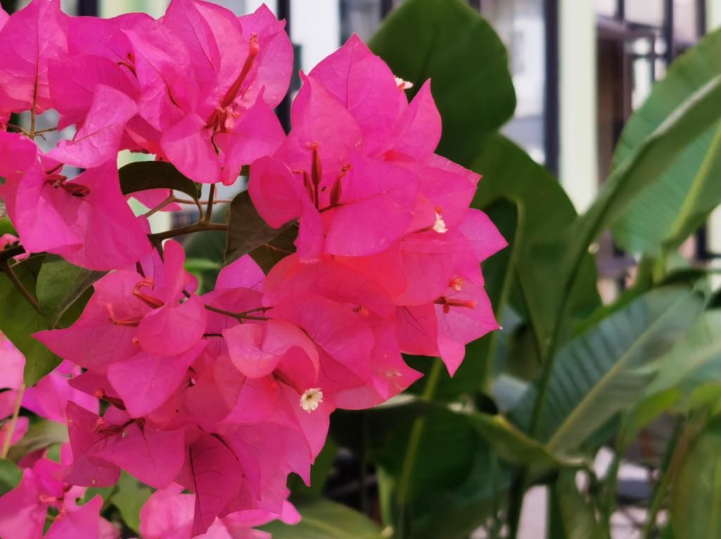 Pro|Mate30 Pro上手，华为最值的5G旗舰？