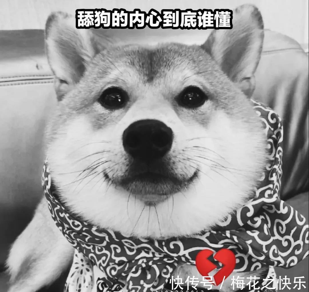 搞笑|动漫搞笑表情包:舔狗篇