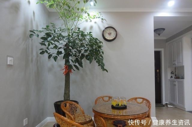 亮点|新房完工,朋友都说玄关是亮点,我却最喜欢餐厅包厨房,谁见过!