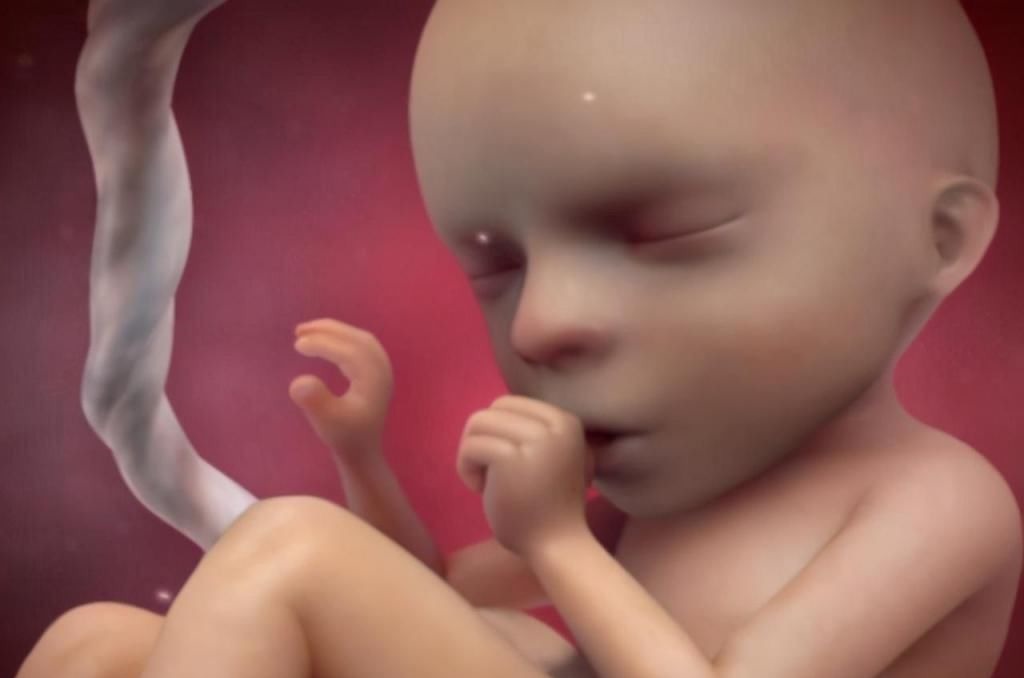 怀孕|孕妈怀孕时有这3个特征,生出的孩子多半很聪明,全占的偷着笑吧