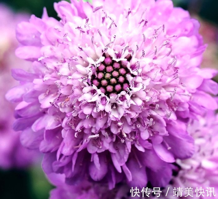 春光灿烂$很有意境的句子,生活是个万花筒,酸甜苦辣尽藏其中