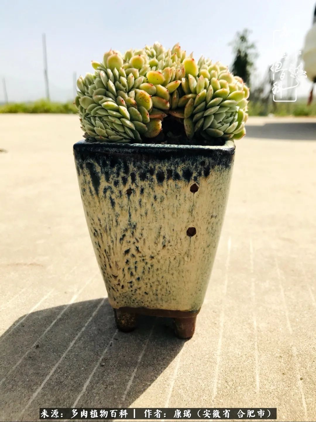 养肉之路，道阻且长，累的是身体，净的是心灵！