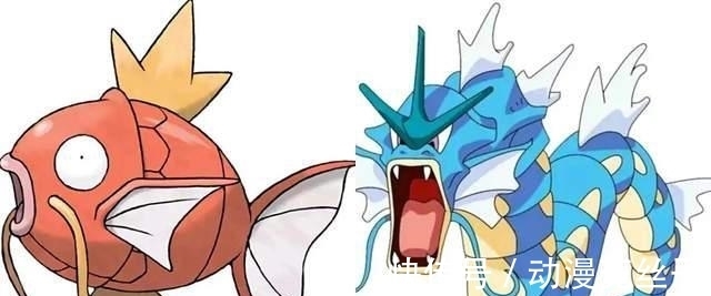 恶魔果实|凯多恶魔果实真相披露,一条不会游泳的鱼而已,这个设定太有趣了