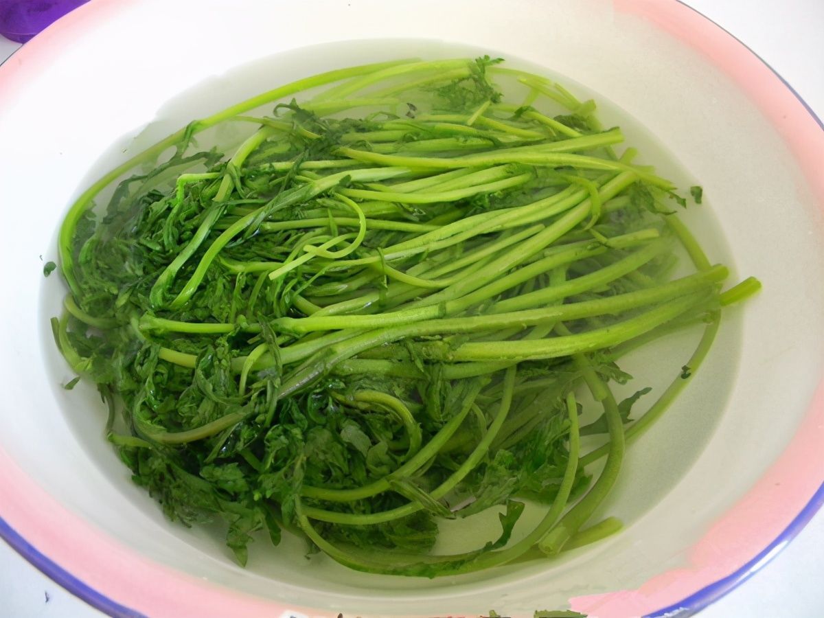 咳嗽痰多吃这蔬菜特管用,才2块钱1斤,医生不会轻易告诉你