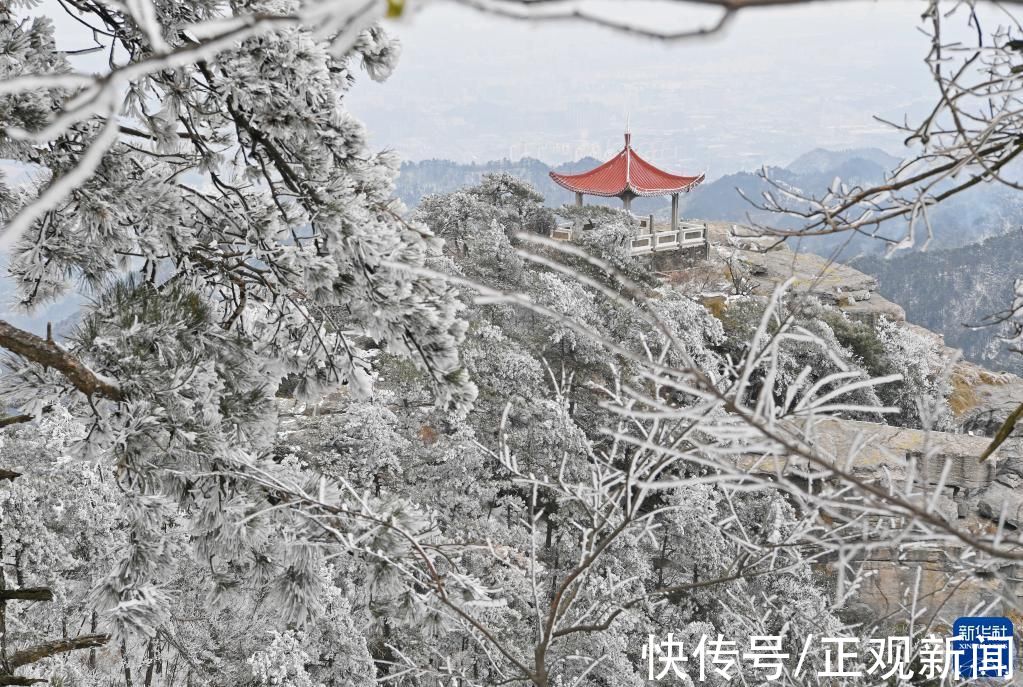 雪景|雪落庐山