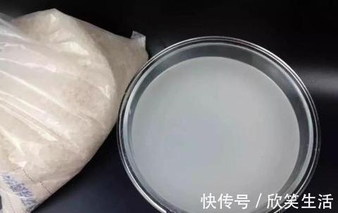 盆养君子兰，7天浇一次臭水，保管网格叶油绿、开花多