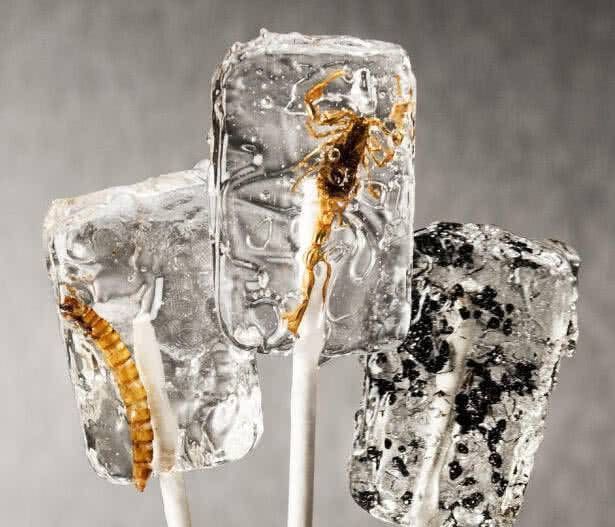 几种黑名单糖果,第二个是虫子,最后一个可以吃一年