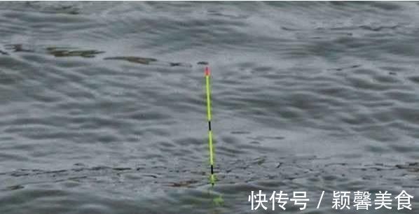 野钓实战探讨，短子线和长子线之间，哪一种优势更大