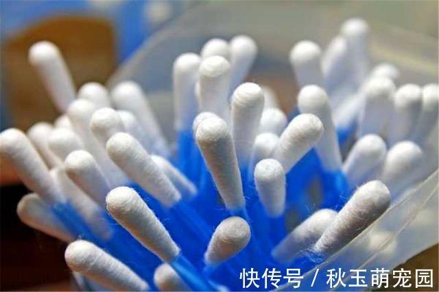 肚子疼!肚脐眼里的“泥”到底是啥?能不能抠?显微镜放大1000倍,真酸爽