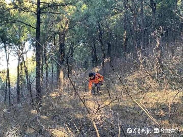 山林|护林员李菊：二十二年如一日，“我守护山林，山林也在守护我”