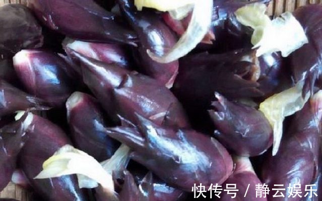 阳荷|山里人常吃舍不得卖,是糖尿病患者的福音!吃过吗