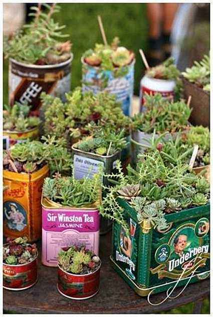 称赞|她从不买“花盆”，种出来的花却美的让人称赞，朋友都来向她学习