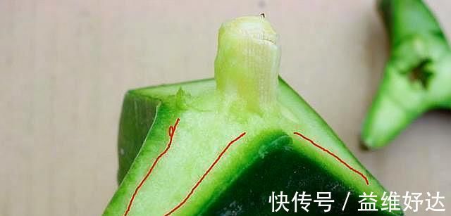 蟹爪兰|“嫁接”蟹爪兰,不注意这个“小细节”,成活率基本为“零”