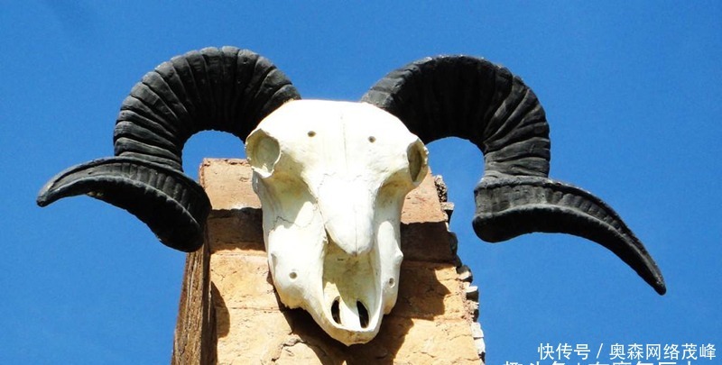 中国|西方“君权神授”与中国“君权天授”有何不同，从图腾崇拜说起！