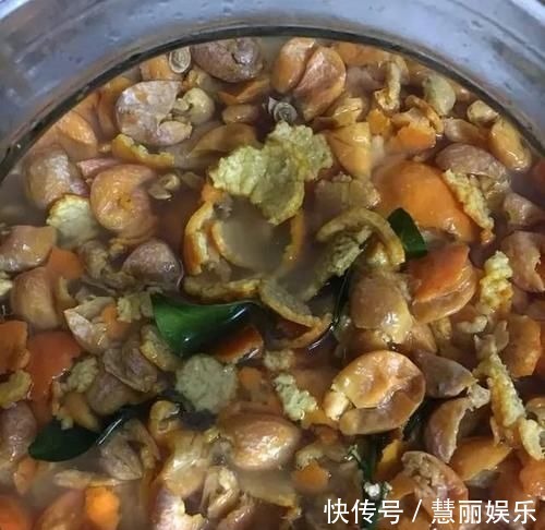 别把好东西当垃圾扔,这种东西养花特好使,后悔知道太晚了