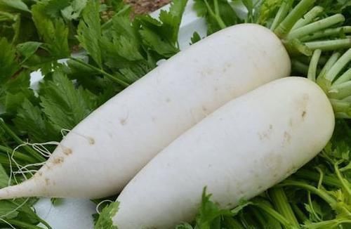 抗衰|每天不妨多吃几种食物，排毒抗衰，补益身体，好吃又健康！