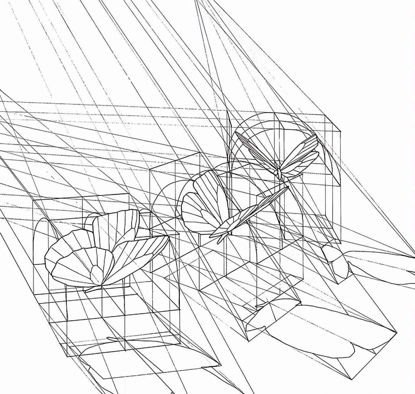 黄金比例!理工男花40年时间,用圆规画1000张画,黄金比例的拥护者