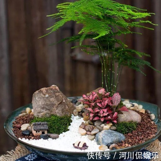 2月养花种草，面对着时冷时热的气候变化，园艺人该怎么做