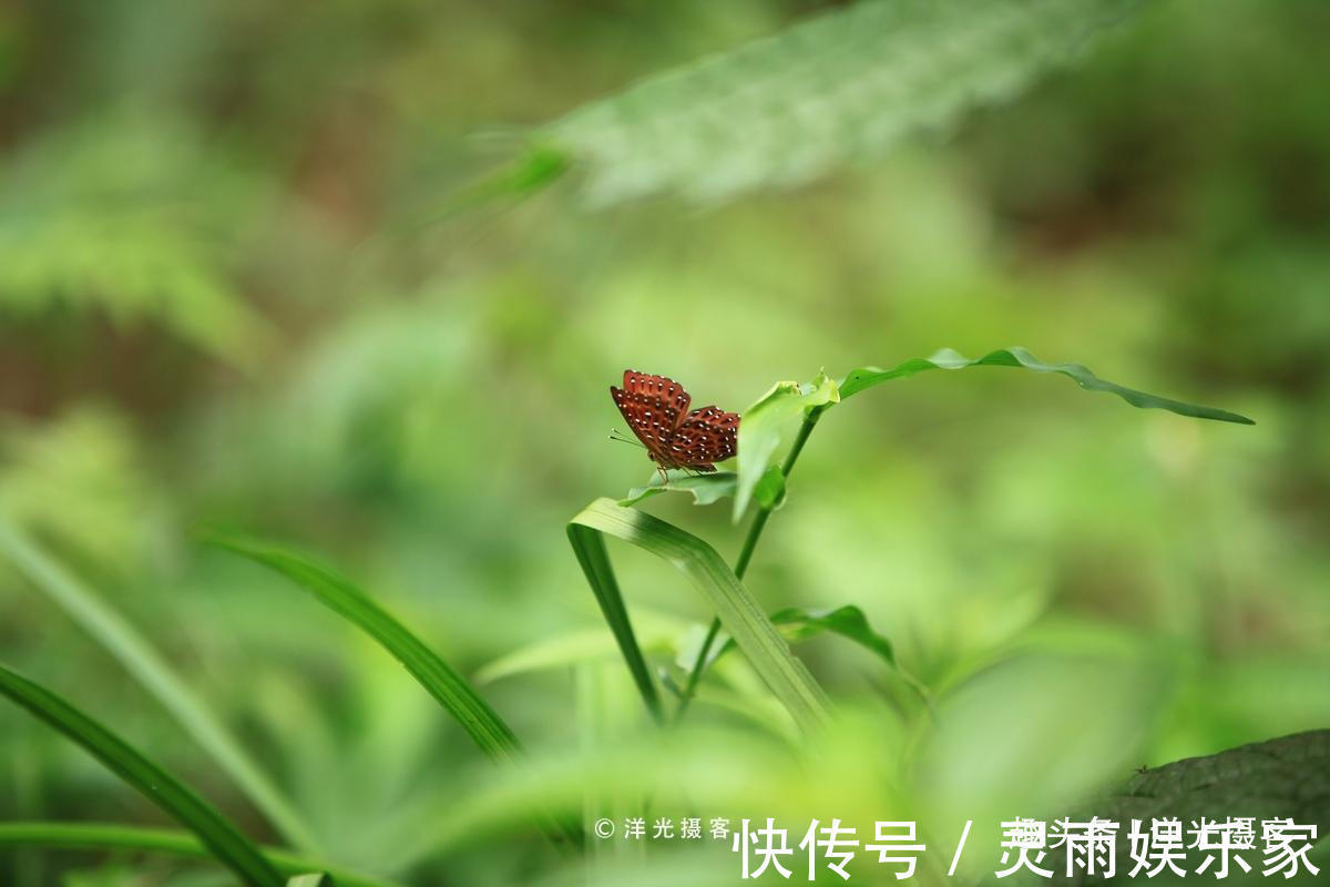 翠竹|这里才是桂林的秘境所在，水如碧玉山如黛