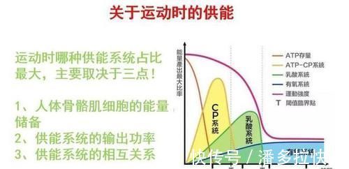 供能|作为跑者你知道跑步时身体是怎样供能的吗？揭秘人体三大供能系统