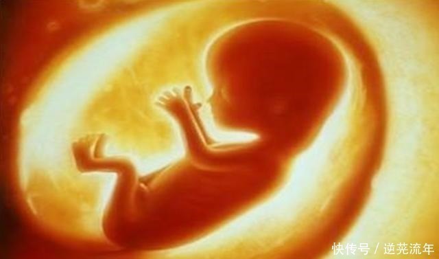 妈妈|胎儿在妈妈的肚子里会感觉到孤独吗事实让人觉得有趣,了解一下!
