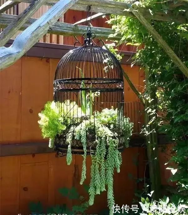 小花|别再花钱买普通花盆了,你意想不到的种花神器!