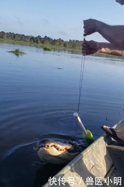 大爷钓的鱼中有一条很特别,看清腹部后放生了这可不能吃呀