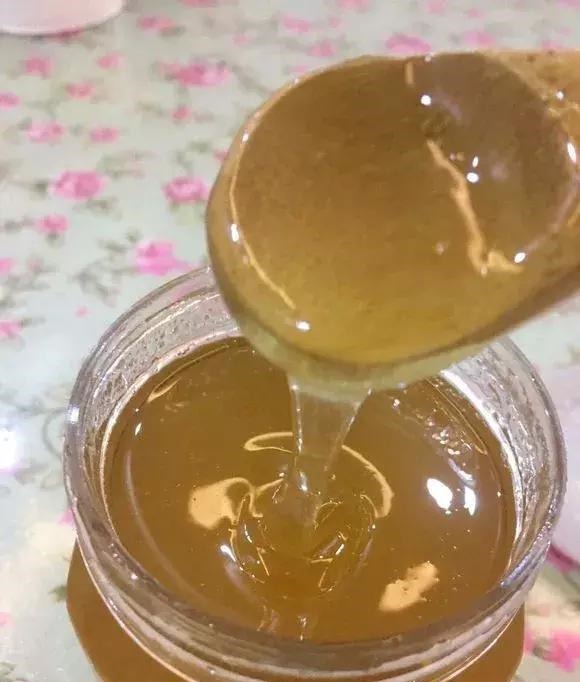 扦插不长根5种生根水里泡一泡，10天长出大白根，蹭蹭长！