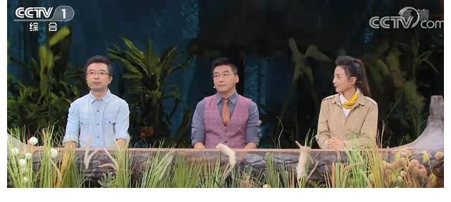 张舒越,任重道远,入职央视一套6个月了身份还是外景主持人