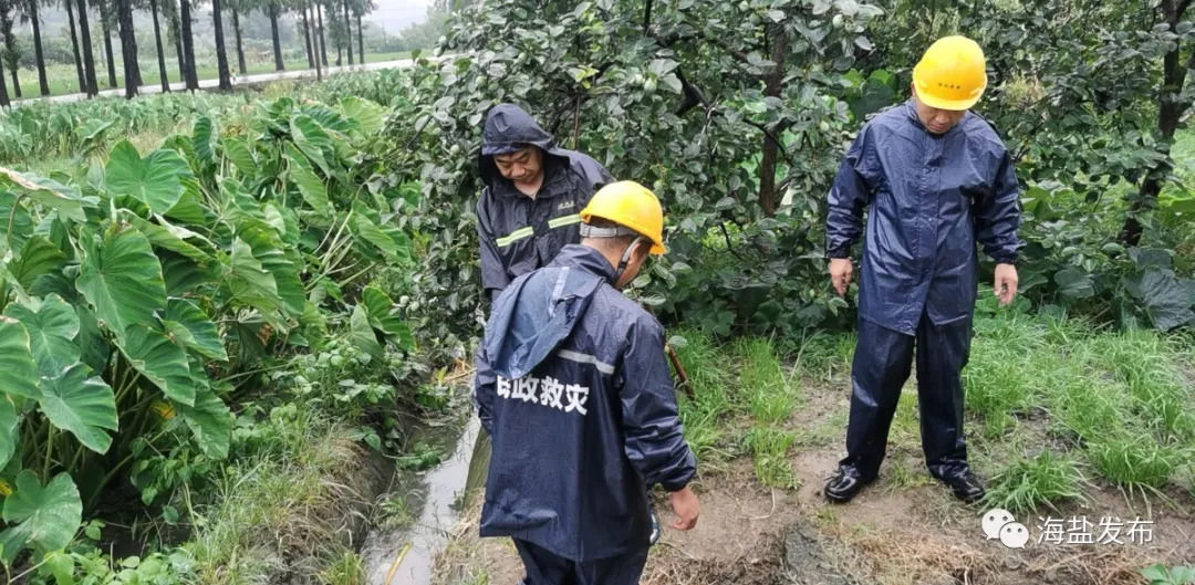 工作人员|海盐：风雨不停，我们不退！