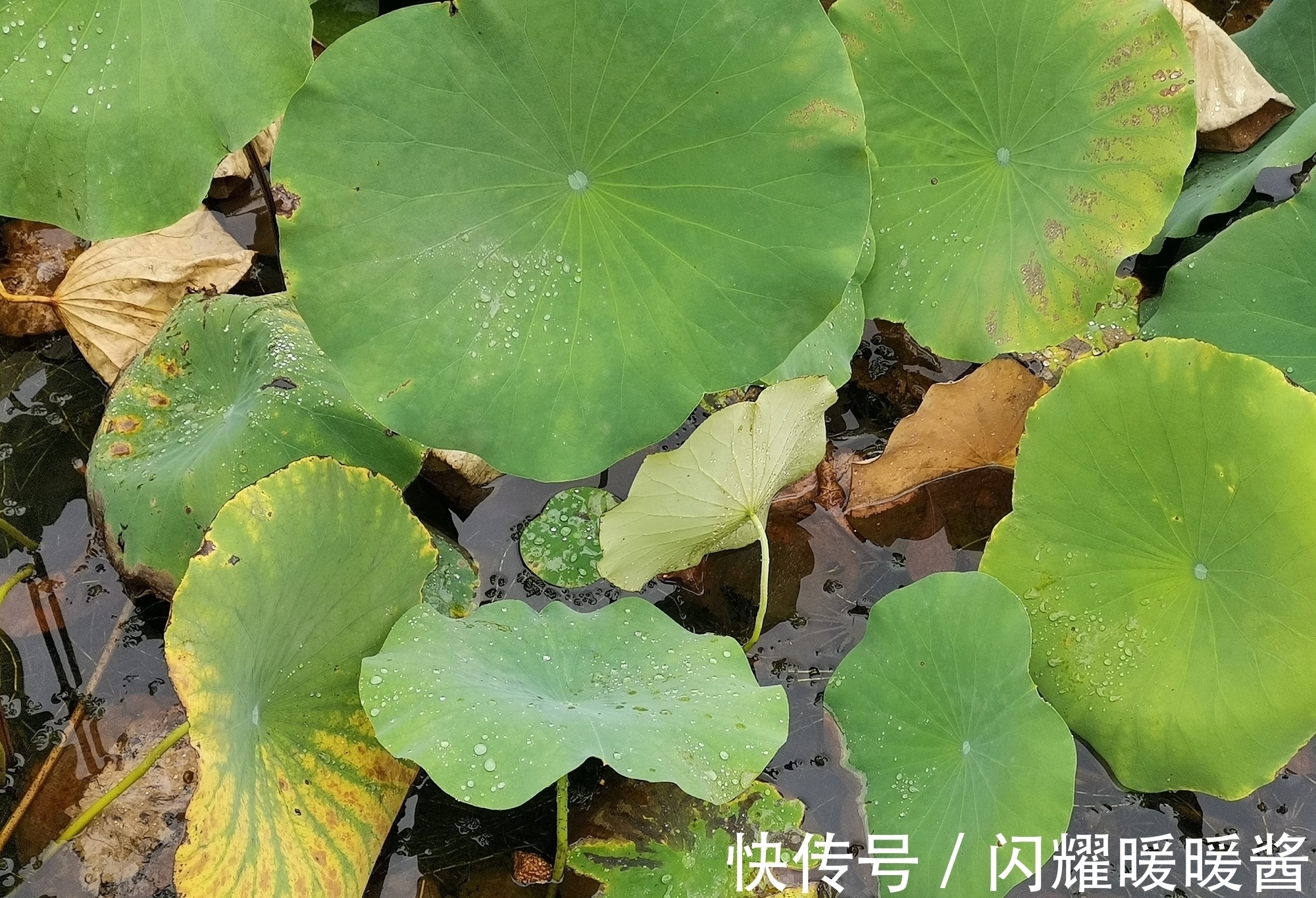 唐朝!寻找秋天最美的诗词,以“秋”为题的诗词排行榜前10名