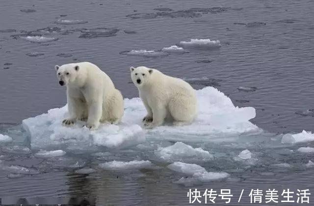 小行星|人类面临的这八大威胁!你觉得最有可能的是哪个?