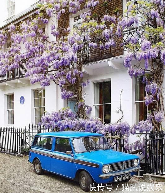 这9种花园,随便1个都美上天了,有一种这辈子就满足了!