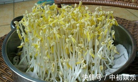 在家发豆芽好简单,只需水和豆,5天就发好,脆嫩好吃,干净卫生