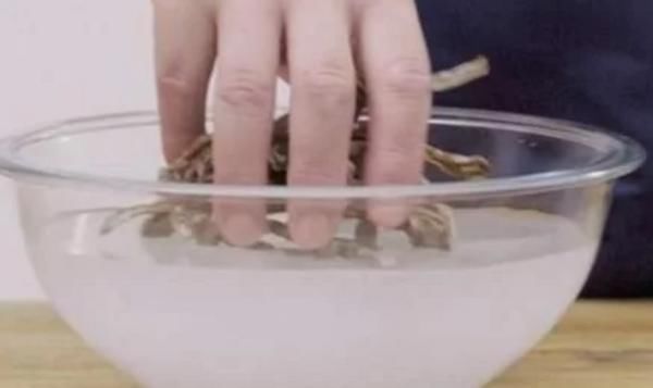 笋干正确泡发方法,饭店大厨都在用,水中加点它,笋干鲜美无异味