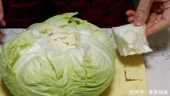 出锅|美女把整颗包菜扔进锅里煮,出锅那一刹,所有人都傻眼了!