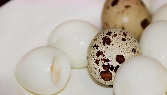 胆黄素|怀孕阶段,孕妈一次吃几个鹌鹑蛋好关于吃鹌鹑蛋的好处,别忽视