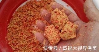 鲤鱼|野钓窝料不可以随便打,选择合适的鱼情很重要