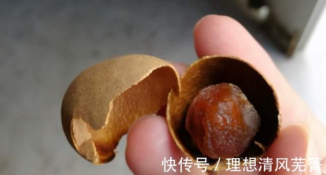 女人|女人气血不好多吃这几种食材，隔几天炖一次，营养滋补对身体好！