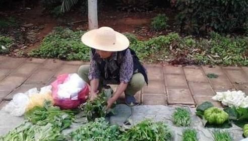 摆摊|现在买农村老人摆摊菜的人越来越少了,原因是什么?