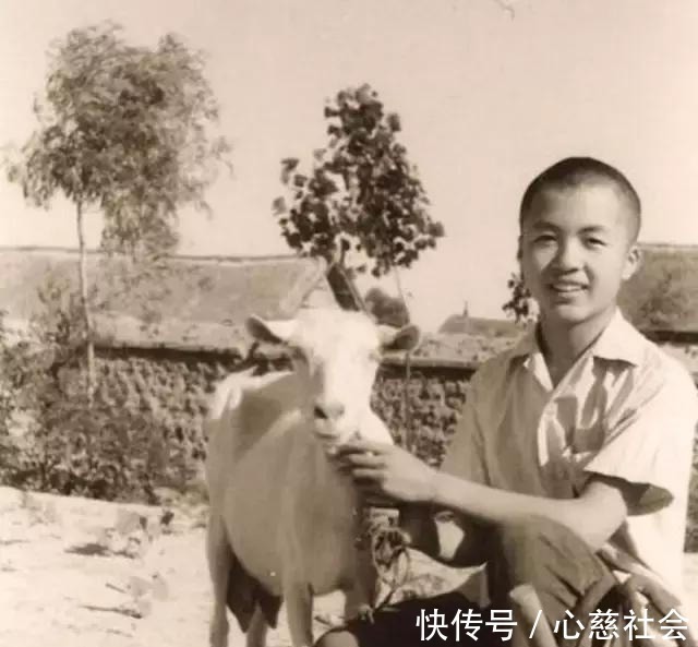 谢烨#诗人顾城的旧居杂草丛生,门前停放的汽车成废铁,儿子不知所踪