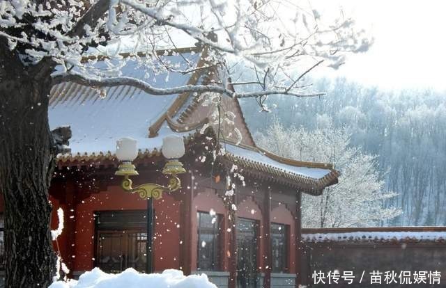 元气满满 吉人吉祥